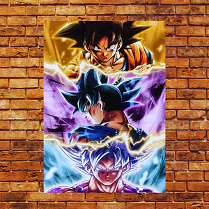 Cuadro de Aluminio Goku al ultra Instinto