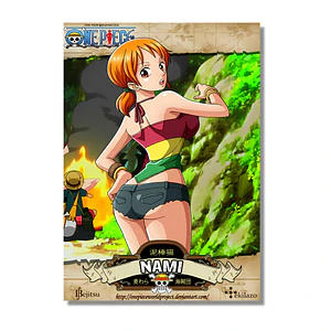 Cuadro Metal de One Piece Hermosa Nami