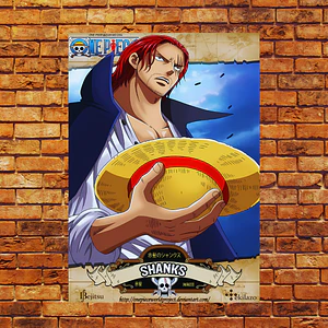 Cuadro en Aluminio One Piece de Shanks