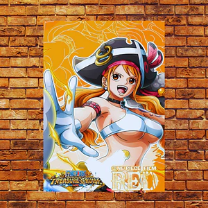Cuadro Aluminio Nami Pirata One Piece