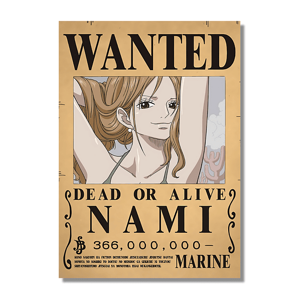 Cuadro One Piece Recompensa Nami