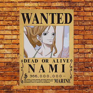 Cuadro One Piece Recompensa Nami