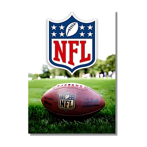 Cuadro en Aluminio Balón de la NFL