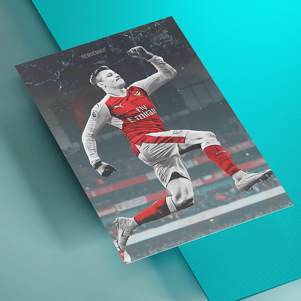 Cuadro Aluminio Alexis Arsenal Full HD 3