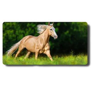 MousePad Diseño Caballo Akhal-Teke Mouse Pad Poderoso