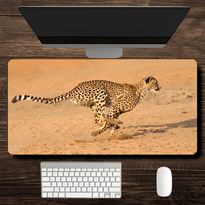 MousePad Diseño Cheetah Mouse Pad Salvajes 