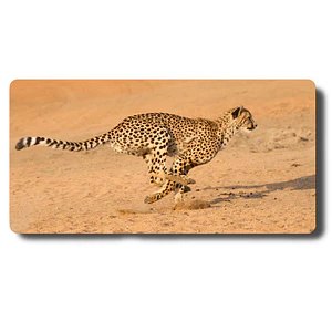 MousePad Diseño Cheetah Mouse Pad Salvajes 