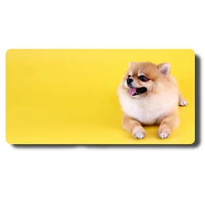 MousePad Perro Pomerania Mouse Pad Peludo