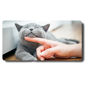 MousePad Ronroneo Gato British Shorthair Mouse pad Felino