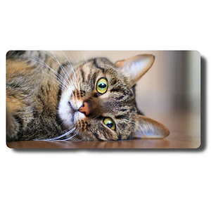 MousePad Precioso Gato Tabby Maus pad Tierno 
