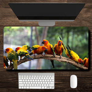 MousePad Diseño  Aratinga del Sol Mouse Pad Aves Exóticas