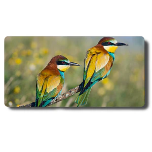 MousePad Aves Exóticas Abejaruco Hermoso Mouse pad 