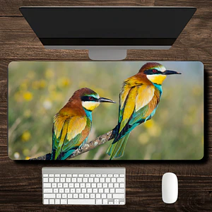 MousePad Aves Exóticas Abejaruco Hermoso Mouse pad 