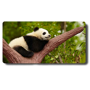 MousePad Juguetón Oso Panda Mouse Pad XL