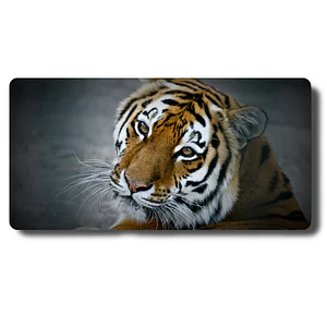 MousePad Original Diseño Tigre Siberiano Mouse Pad Sublime