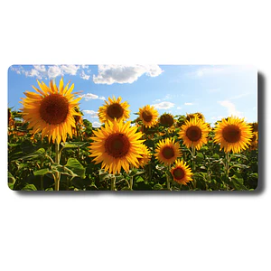 Mouse Mouse Pad Campo de Girasoles Vibrantes MousePad Mujeres