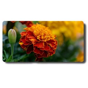 Mouse Mouse Pad Flor Cempasúchil MousePad Floral