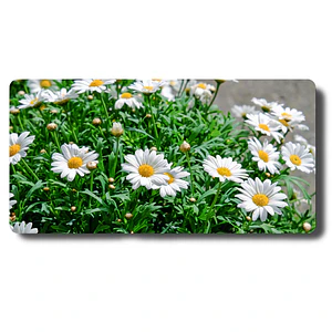 Mouse Pad Mouse Jardin Margaritas Blancas MousePad Floral
