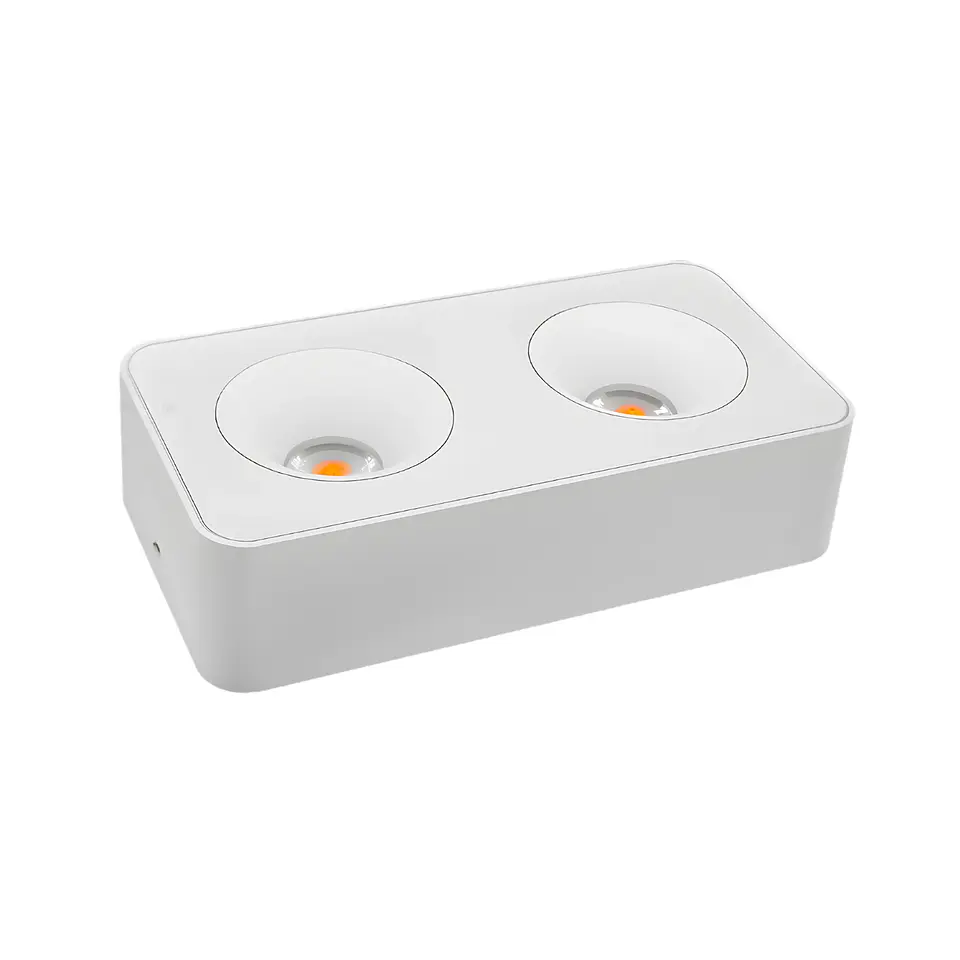 Lámpara Superficial Rectangular, 24W, Tres Tonos, 2 Spots, Blanco, LUCERNA 1