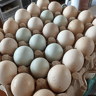 HUEVO DE CAMPO GRANDE BANDEJA 20 UNIDADES