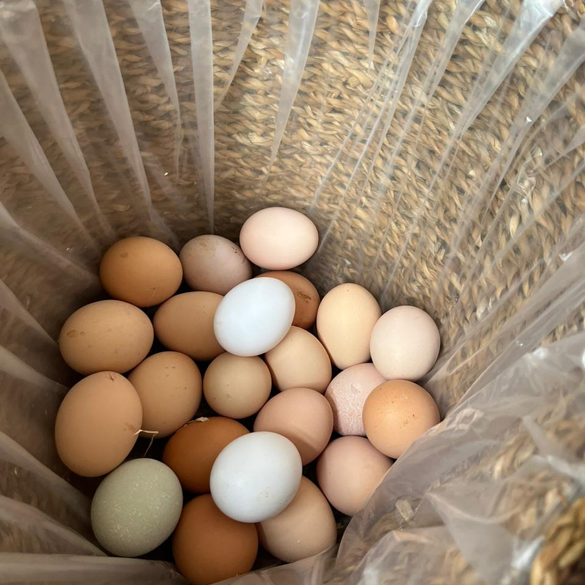 HUEVO DE CAMPO GRANDE BANDEJA 20 UNIDADES 2