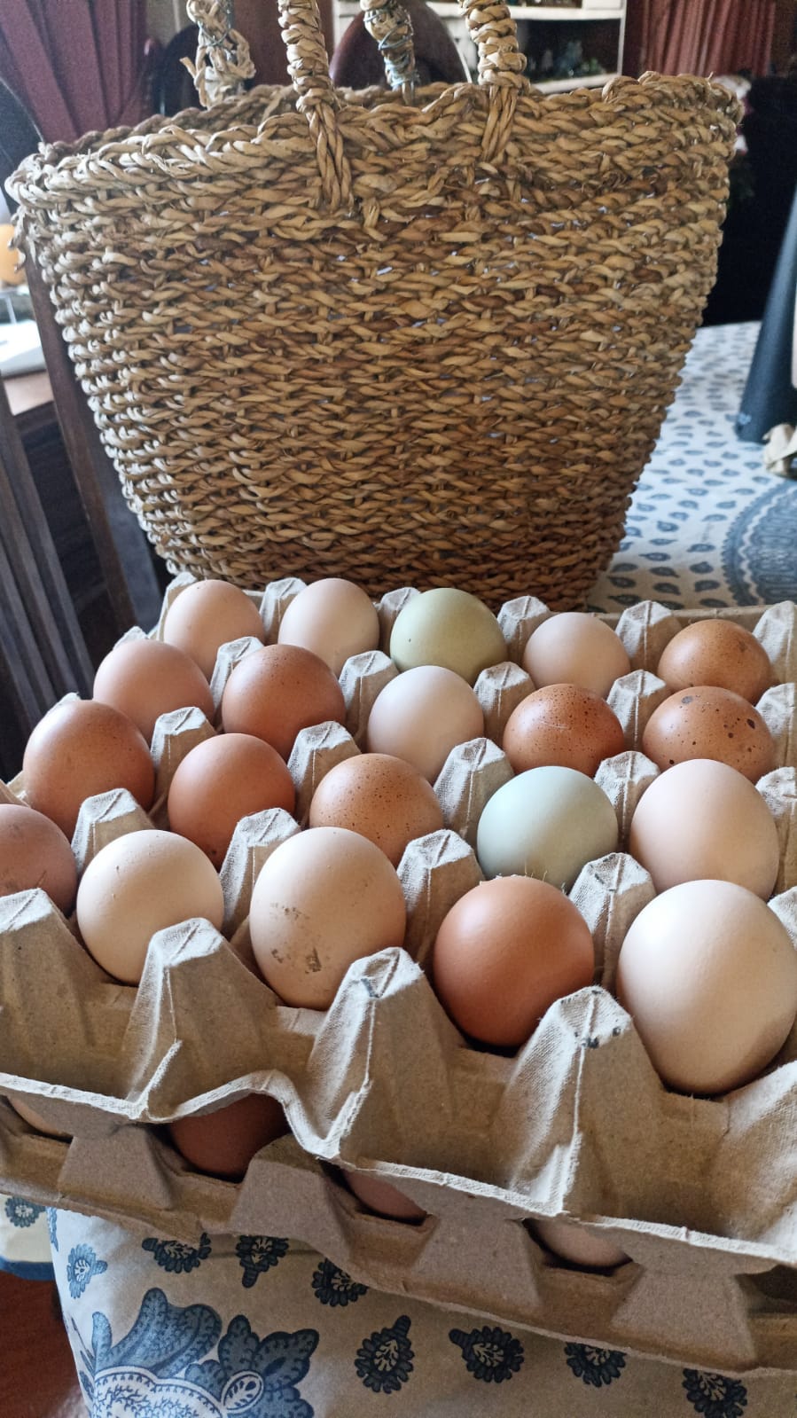 HUEVO DE CAMPO TRICOLORES; GRANDE BANDEJA 30 UNIDADES