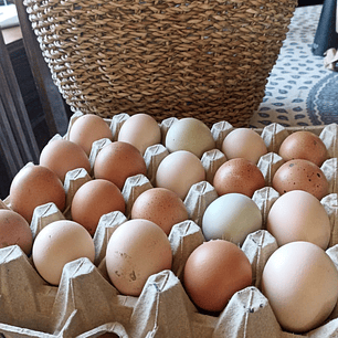 HUEVO DE CAMPO TRICOLORES; GRANDE BANDEJA 30 UNIDADES