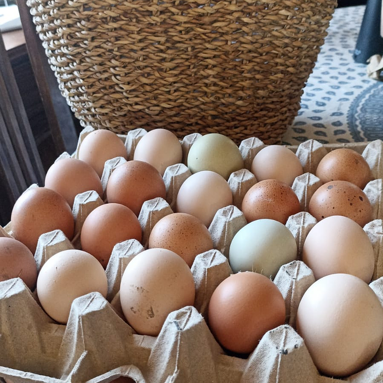 HUEVO DE CAMPO GRANDE BANDEJA 20 UNIDADES 3