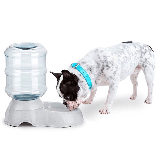 Dispensador Agua Perros Gatos ($5.990 al comprar 3 unidades o más)