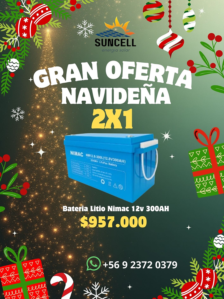 OFERTA NAVIDEÑA 2X1🎄 1
