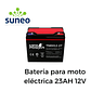 Baterías Ebike 13/23/Ah - Miniatura 1