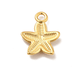 Colgante Esrella de Mar | Acero Inoxidable
