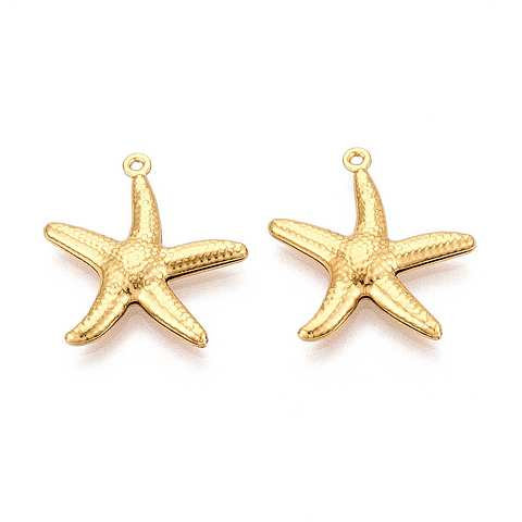 Estrellas de Mar Acero Inoxidable