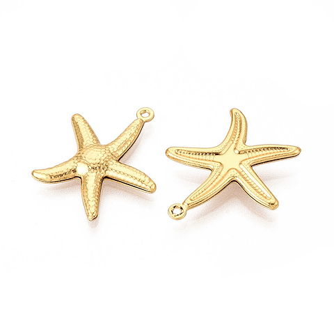 Estrellas de Mar Acero Inoxidable