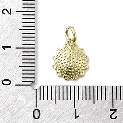  Dije De Manzanilla Roja | Baño de oro 18k