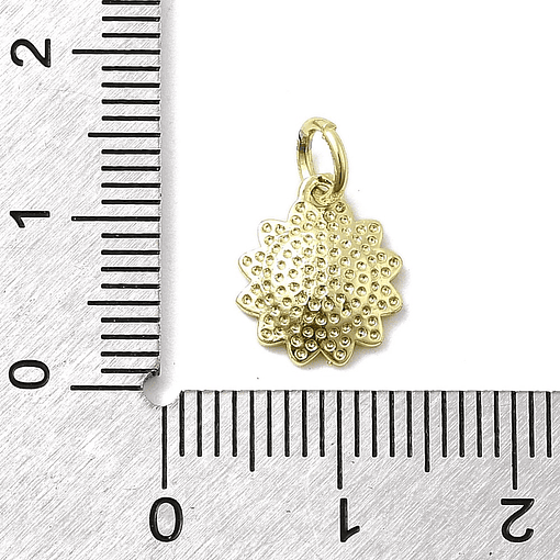 Dije De Manzanilla Roja | Baño de oro 18k