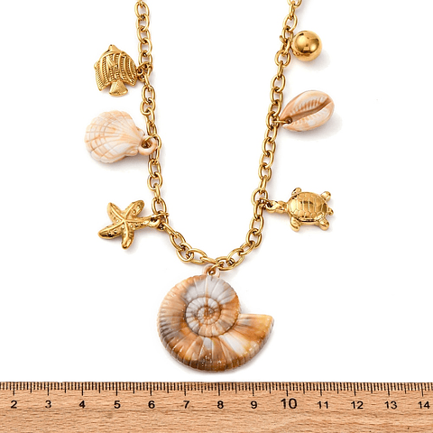 Collar de Conchitas | Acero Inoxidable