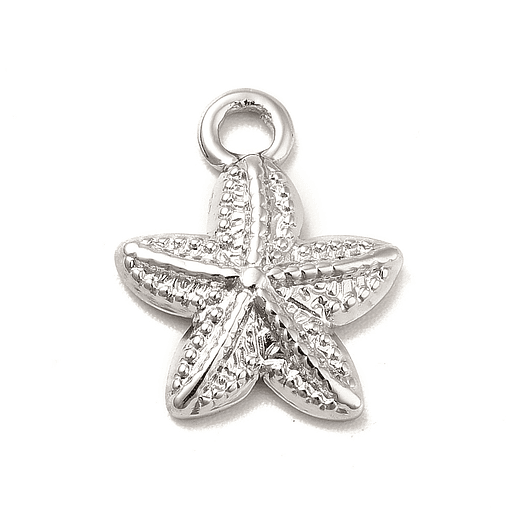Colgante Estrella de Mar | Acero Inoxidable