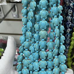 Tira De Tortuga | Turquesa