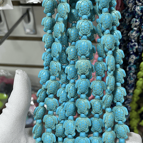 Tira De Tortuga | Turquesa