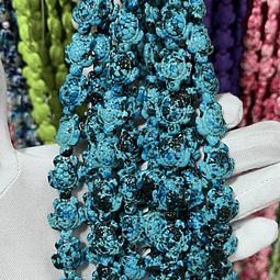 Tira De Tortuga | Calipso Matizado