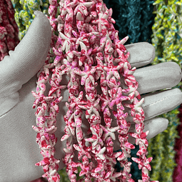 Tira De Estrellas | Fucsia Matizado