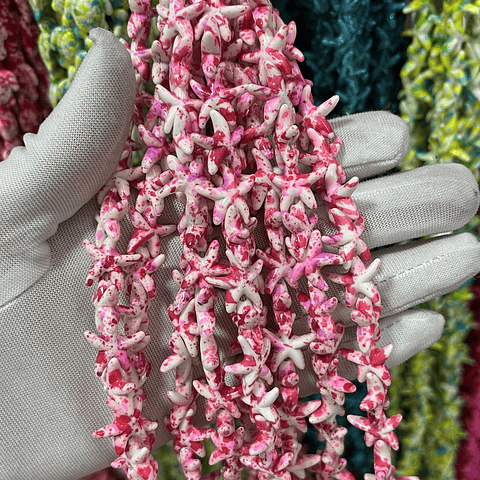 Tira De Estrellas | Fucsia Matizado