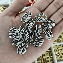 Conchita Buceo | Cebra