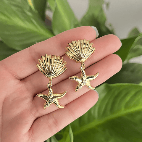 Aro Almeja Con Estrella | Baño de oro 18k