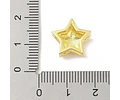 Pasador de Estrella | Baño de oro 18k