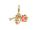 Charm Hueso, Corazón y Huella de Pata | Baño de oro 18k