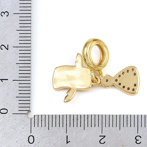 Charm Saco de Dinero y Dólares | Baño de oro 18k