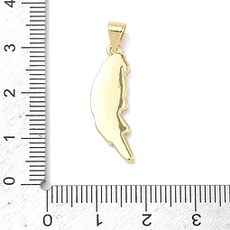  Colgante Guacamaya Esmaltada | Baño de oro 18k