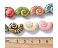 Tira de Conchitas | Colores surtidos